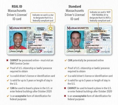 real id vs state id